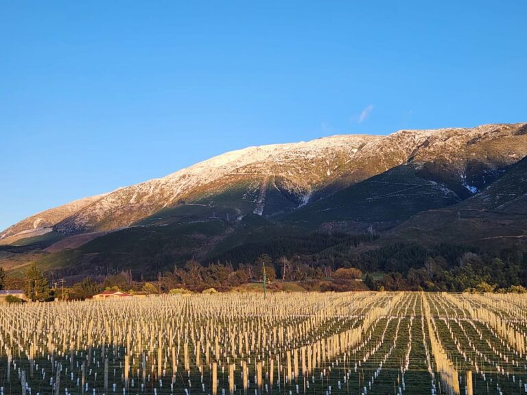 536237171_1496142358444966_5795241453625806347_n